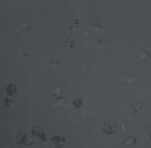 GEMMANEW 橡胶地板 橡格系列 EL01004