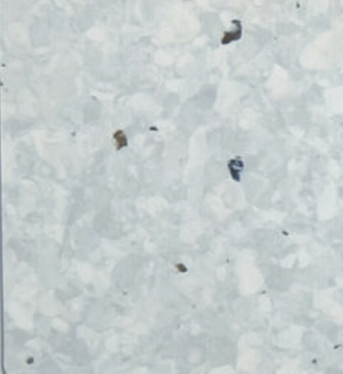GEMMANEW 洁玛 PVC同质透心卷材地板  T级耐磨  C格系列 BC2055