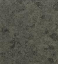 GEMMANEW 洁玛 PVC多层复合卷材地板  耐磨  威格系列 WG5821