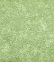 GEMMANEW 洁玛 PVC多层复合卷材地板  耐磨  威格系列 WG5859
